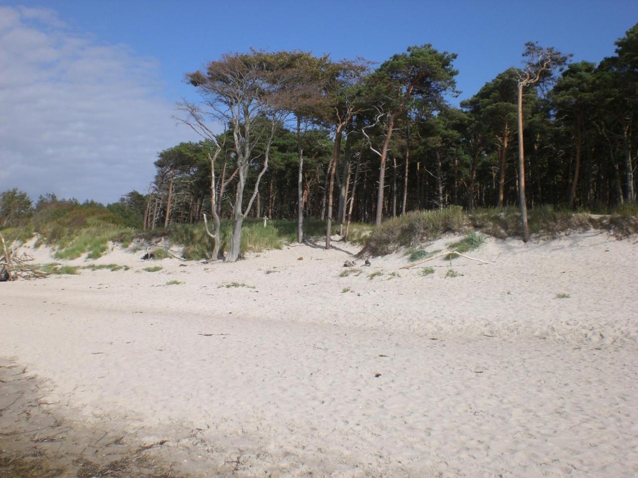 Achtern - Diek - Am Strand Apartment Zingst Exterior foto