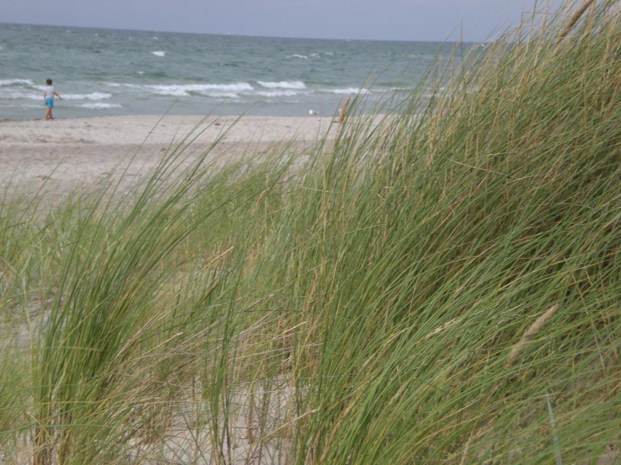 Achtern - Diek - Am Strand Apartment Zingst Exterior foto