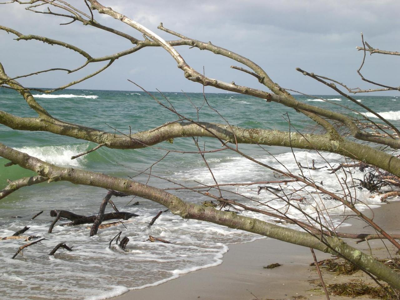 Achtern - Diek - Am Strand Apartment Zingst Exterior foto