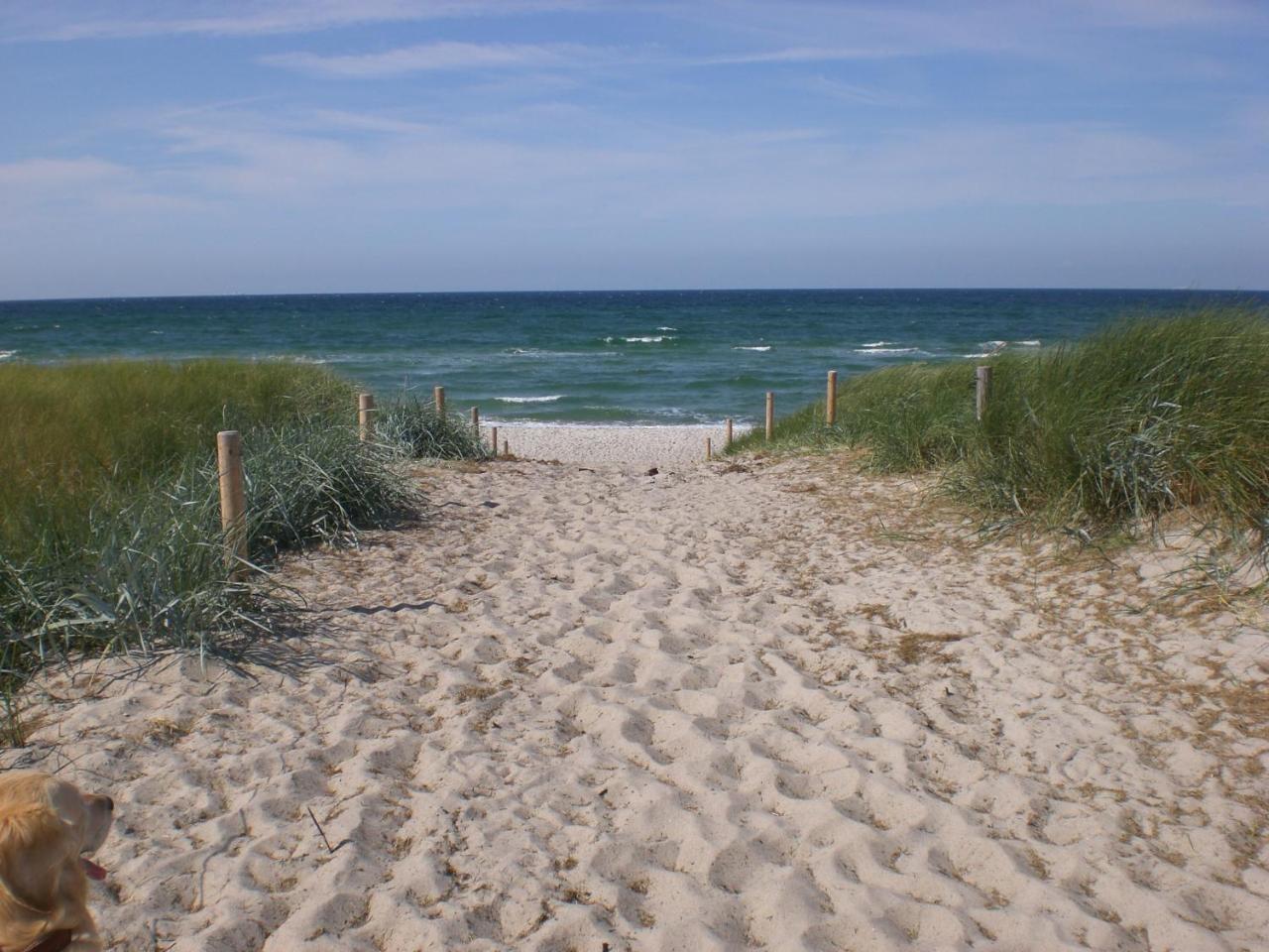 Achtern - Diek - Am Strand Apartment Zingst Exterior foto